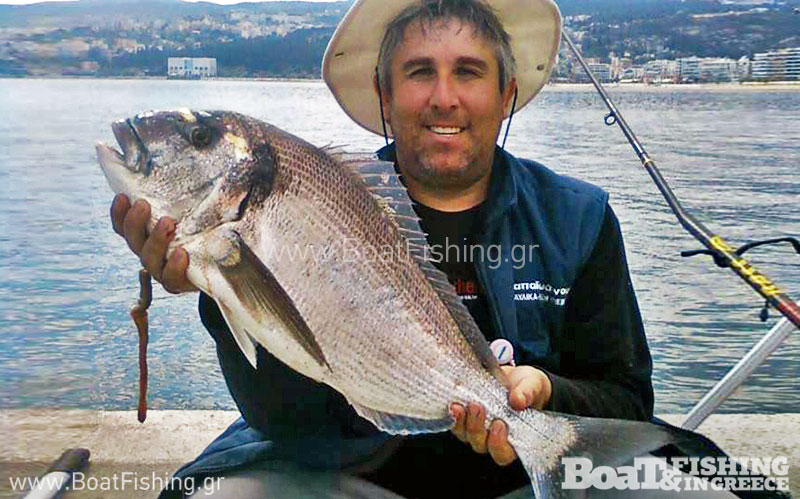 psarotopoi_kavala_tsipoyres_sto_limani-citypedia (1)