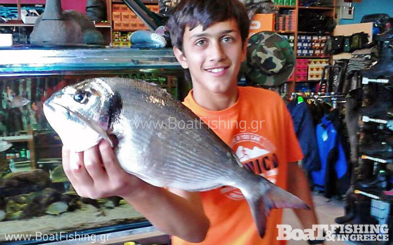 psarotopoi_kavala_tsipoyres_sto_limani-citypedia (2)