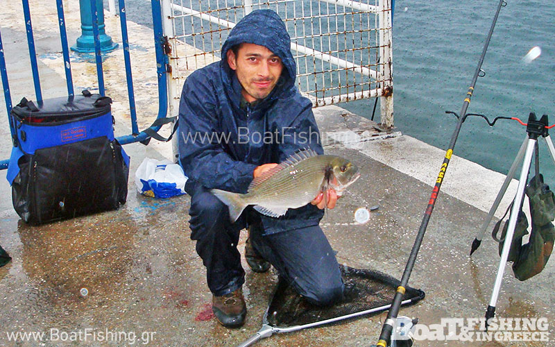 psarotopoi_kavala_tsipoyres_sto_limani-citypedia (3)