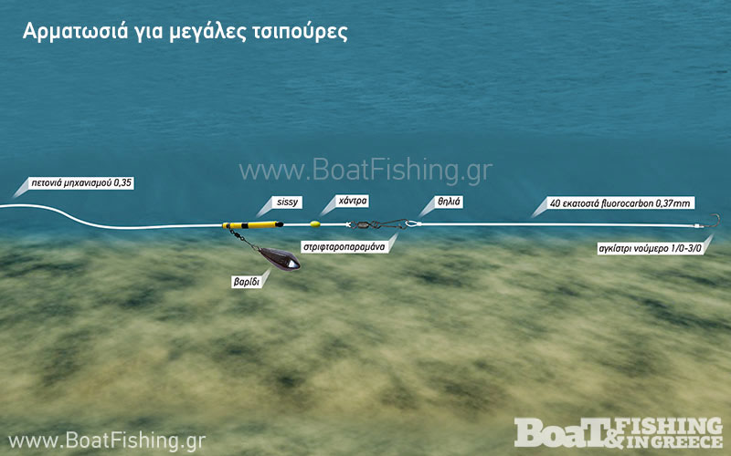 psarotopoi_kavala_tsipoyres_sto_limani-citypedia (5)