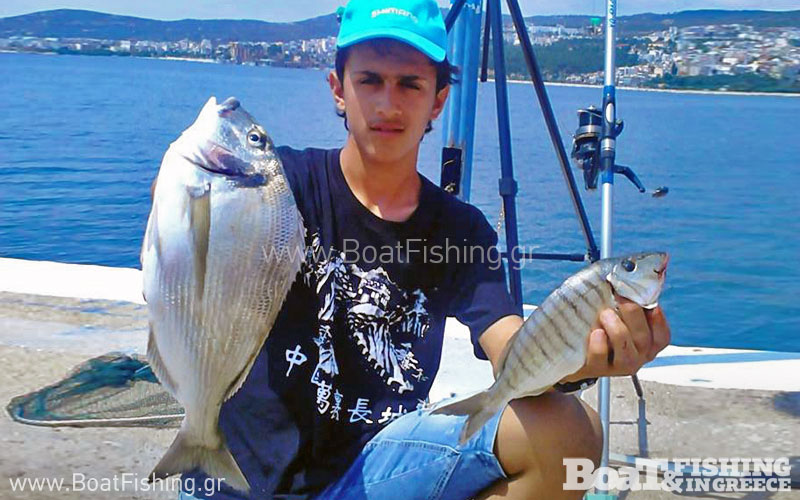 psarotopoi_kavala_tsipoyres_sto_limani-citypedia (7)