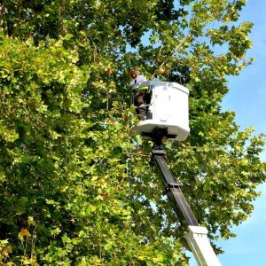 dimos-kavalas-katharismos-sxoleion--2025-kavala-citypedia-001