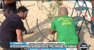 paralies-armirikia-kavala-citypedia