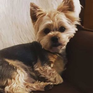 skykaki-xathike-kavala-citypedia