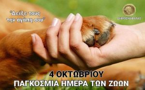 Αδέσποτα ζώα στην Καβάλα - χέρι κρατά το πόδι σκύλου, γραφιστικό του Δήμου Καβάλας για τις 4 Οκτωβρίου