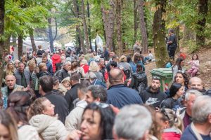 Ημέρα Κάστανου Παλαιοχώρι - πλήθος επισκεπτών στο καστανοδάσος