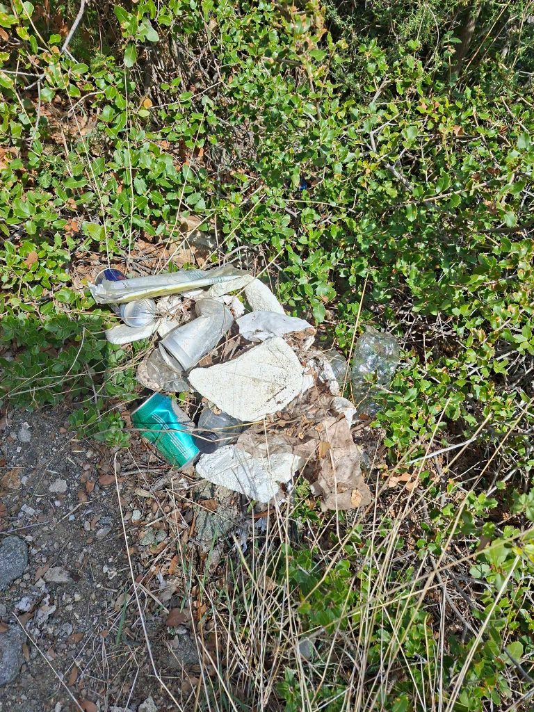 Καθαρισμός ακτής Νέα Ηρακλείτσα - απορρίμματα ανάμεσα στη βλάστηση του λόφου